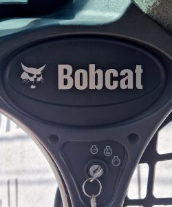 Bobcat_0004_20250508_110346